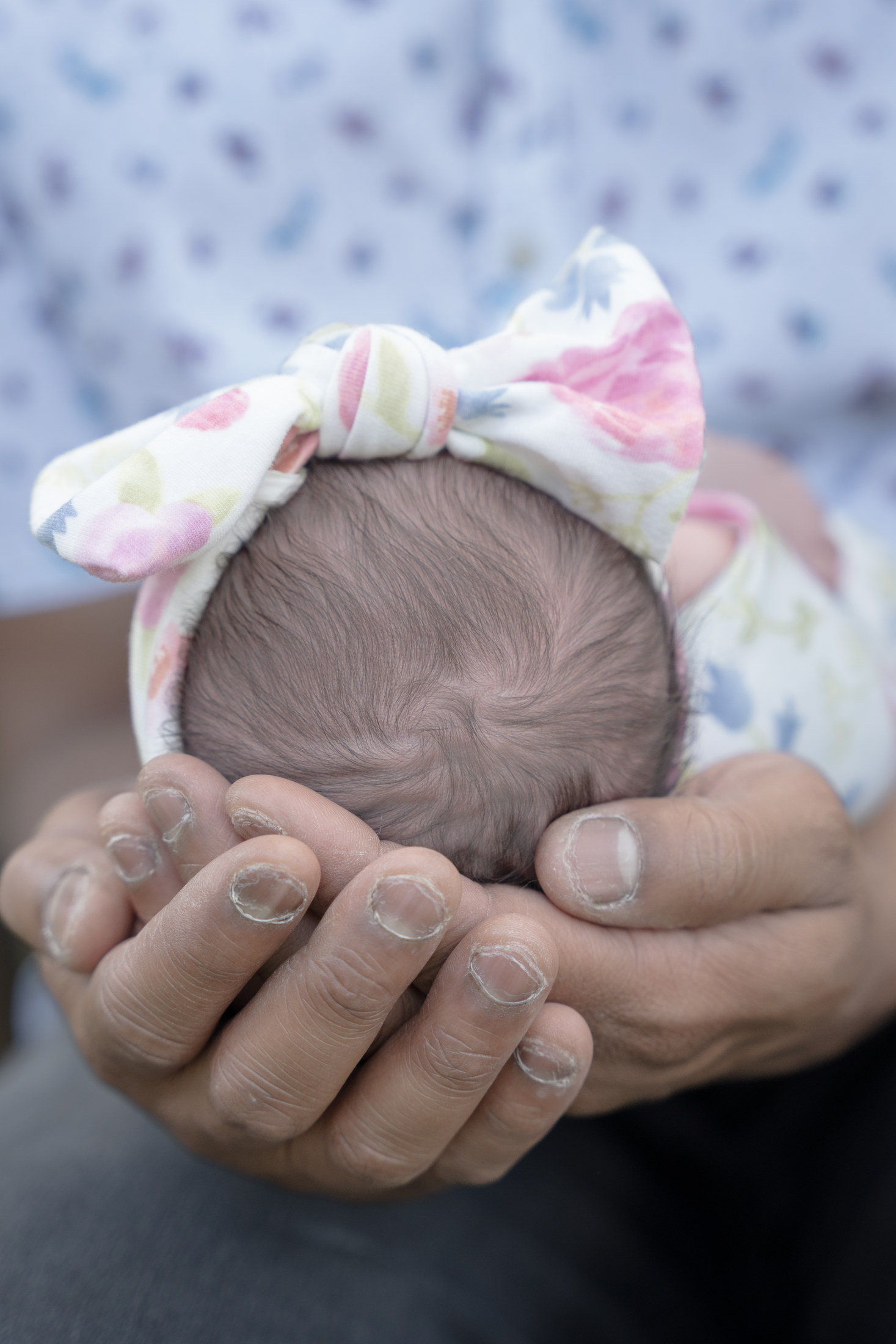 Newborn at-home photograph 11